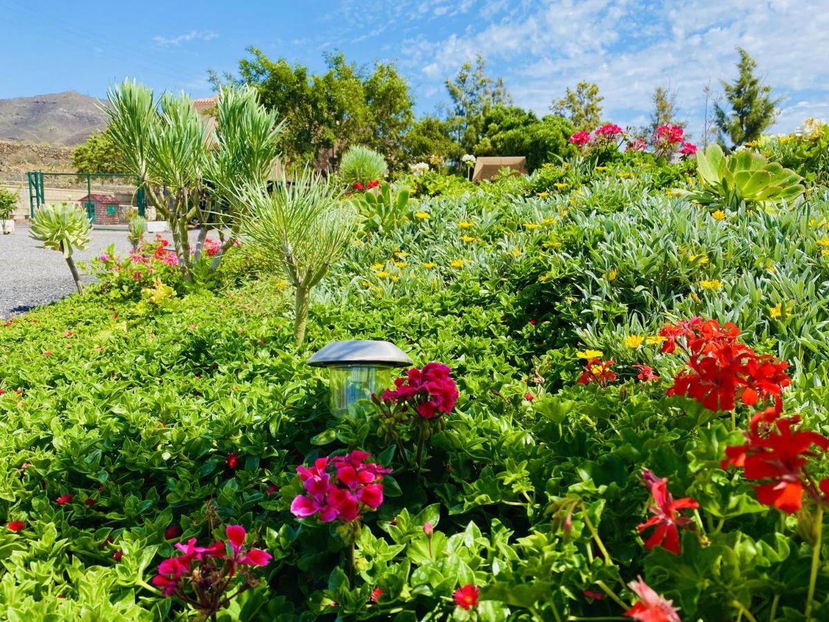Villa Nashira Hot Tub Piscina Y Jardin Buzanada Esterno foto