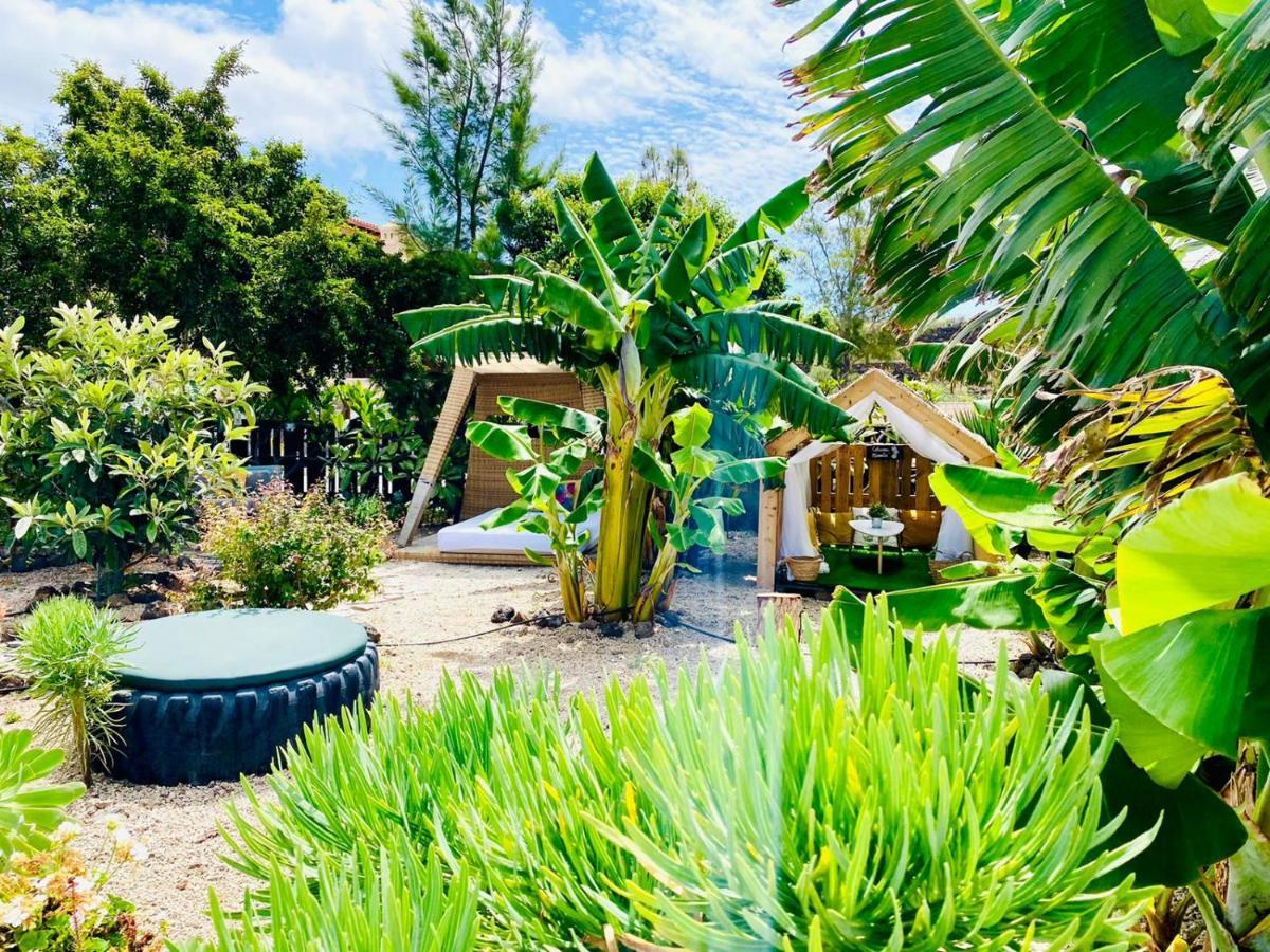 Villa Nashira Hot Tub Piscina Y Jardin Buzanada Esterno foto
